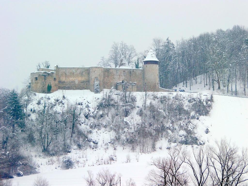 Hotel Amarilis Netretic Экстерьер фото